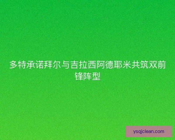 多特承诺拜尔与吉拉西阿德耶米共筑双前锋阵型