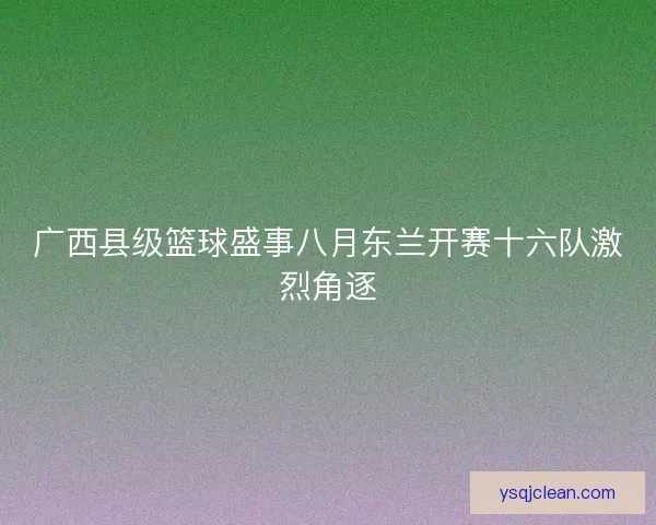 广西县级篮球盛事八月东兰开赛十六队激烈角逐 广西县级篮球盛事八月东兰开赛十六队激烈角逐