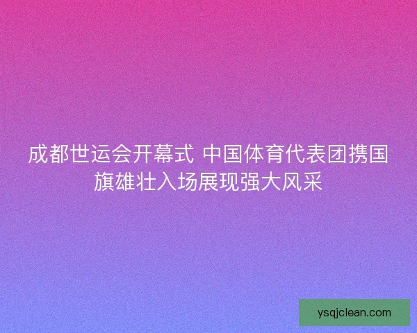 成都世运会开幕式 中国体育代表团携国旗雄壮入场展现强大风采